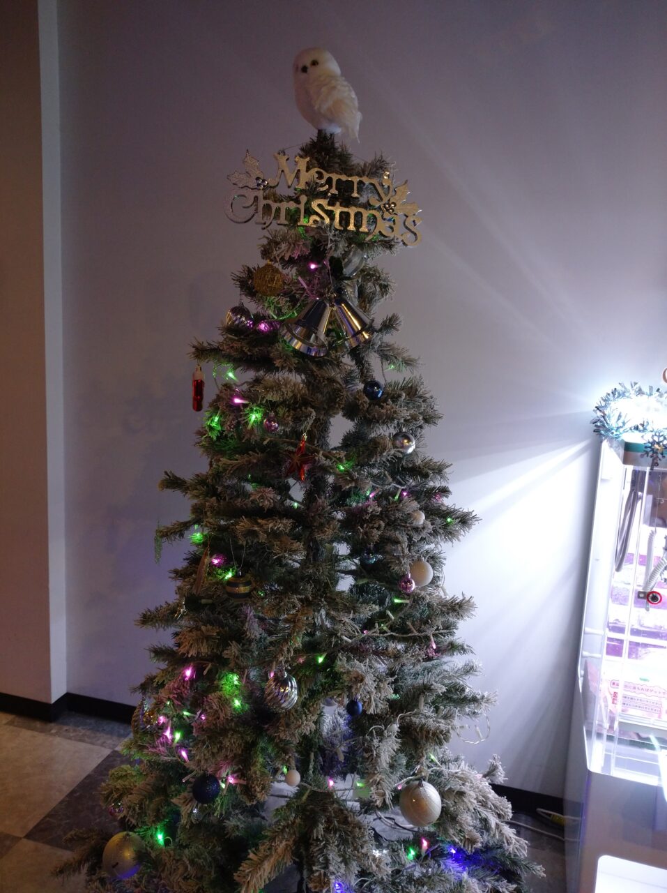 Christmas Styleになりました♪